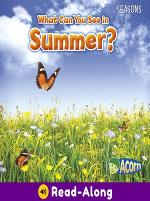 cover image of What Can You See in Summer?